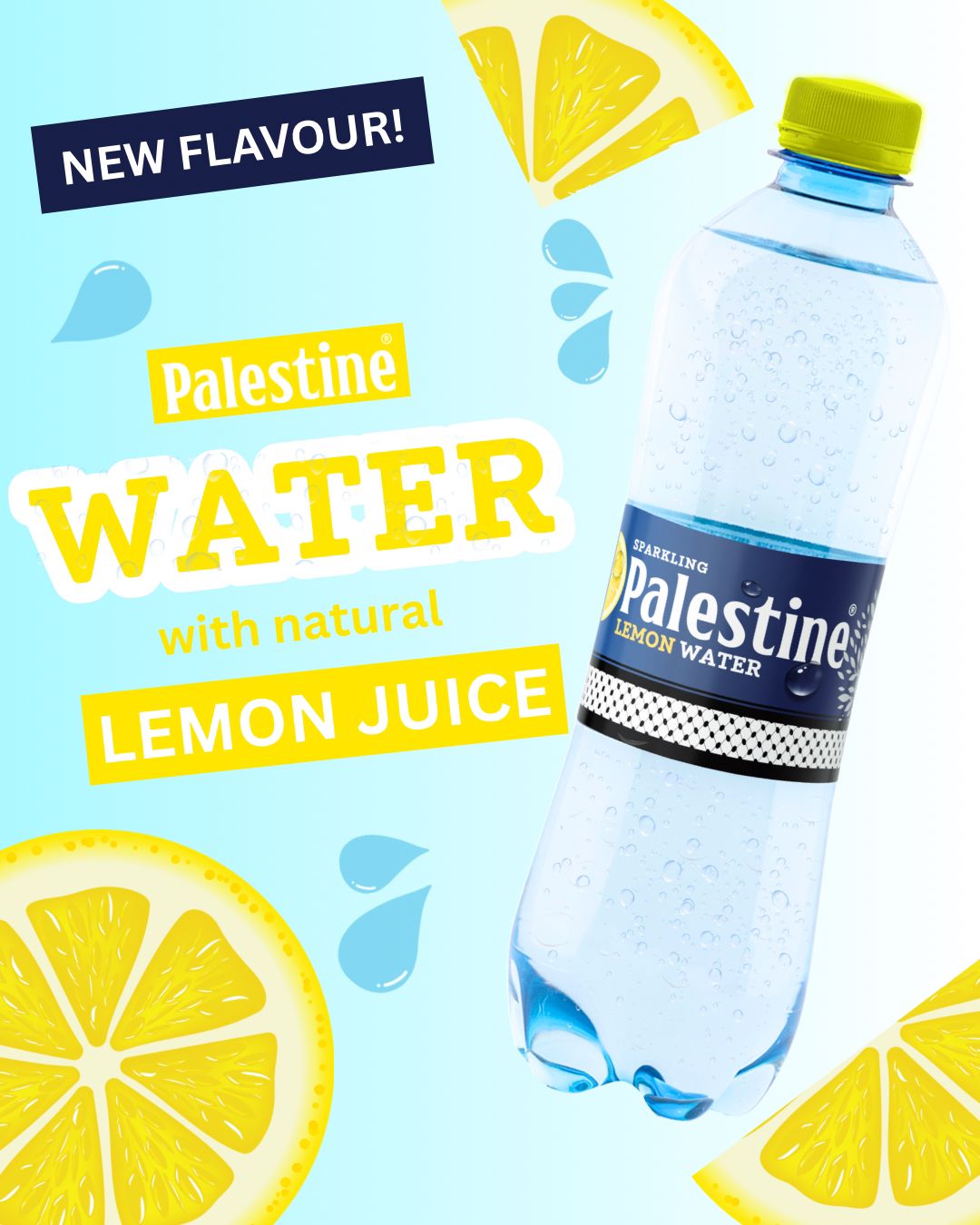 Palestine Drinks® Sparkling Water Lemon 500ml – 12 Pack | Bestel Online ...
